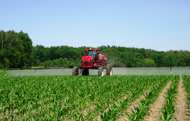 Corn Herbicides