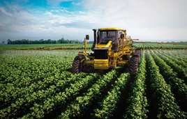 Soybean Herbicides